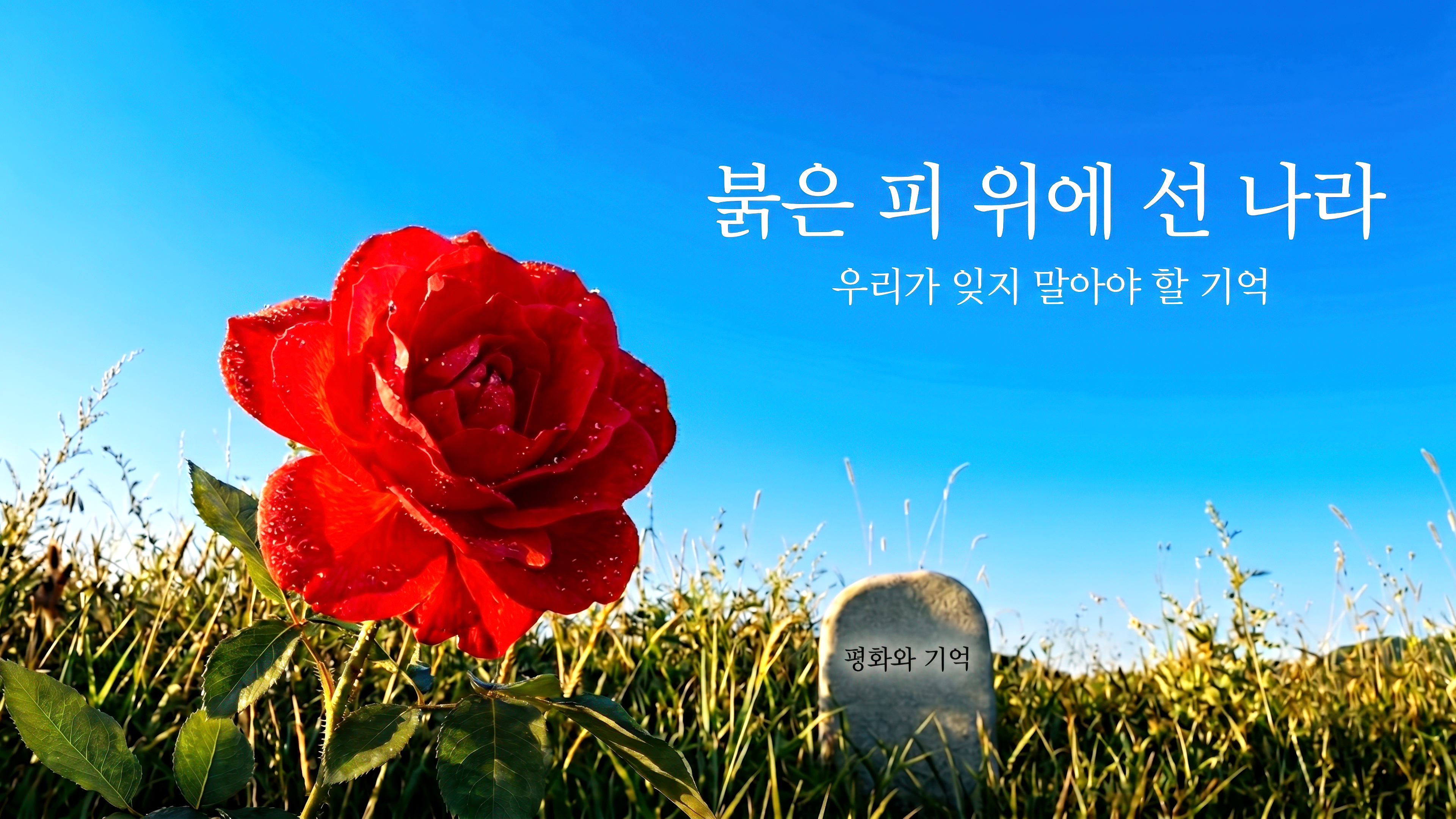 260607_횃불6월_스토리_현충일 copy.jpg
