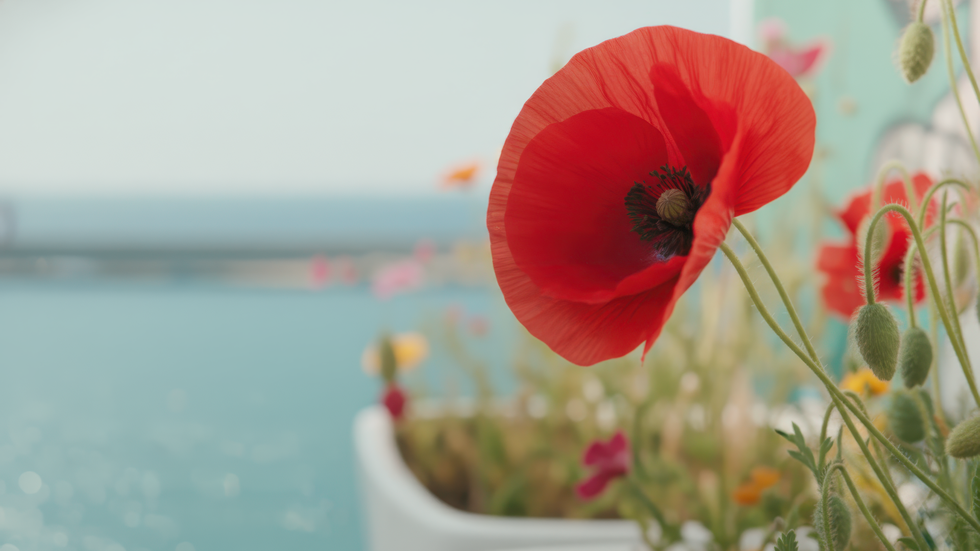 s_15-gigapixel-standard v2-1920w.png