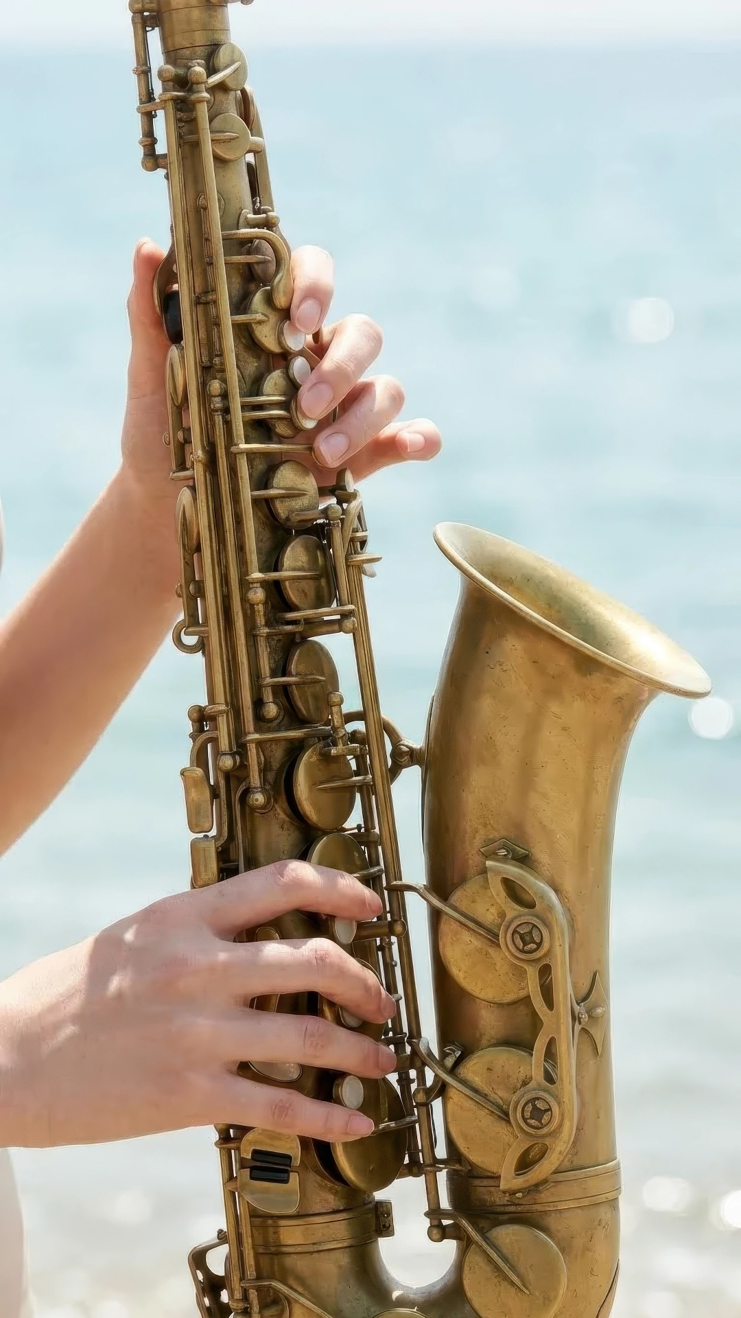 s_i_01-gigapixel-standard v2-1080w copy.jpg